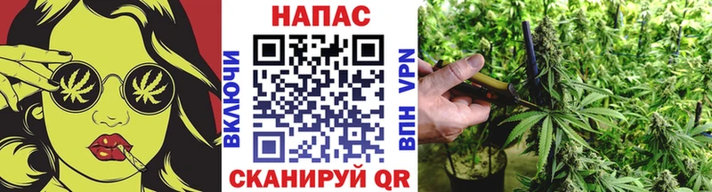 Конопля сатива  купить закладку  Разумное 